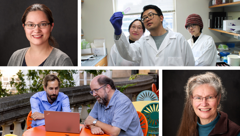 Top row: Associate Professor Amanda Margolis; Assistant Professor Ting Fu, postdoctoral researcher Xingchen Dong, and graduate student Fei Sun. Bottom row: Assistant Professor Cody Wenthur and Associate Professor Jay Ford, Professor Betty Chewning