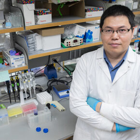 Quanyin Hu in his lab