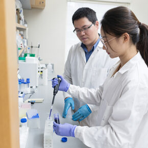 Sichen Yuan and Quanyin Hu work together in the Hu Lab