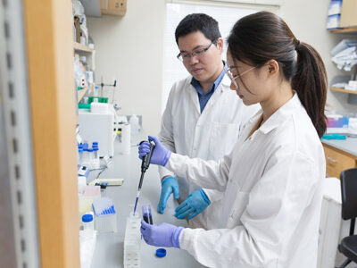 Sichen Yuan and Quanyin Hu work together in the Hu Lab