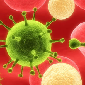 White blood cells fight off infection in the bloodstream.