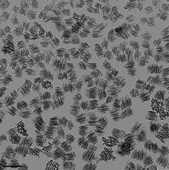 Porous silicon nanoparticles by TEM. Nominal particle size is 200nm.  