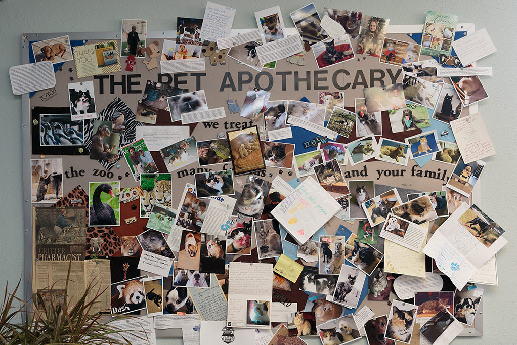 A look inside the Pet Apothecary, board filled with notes and pictures of animals