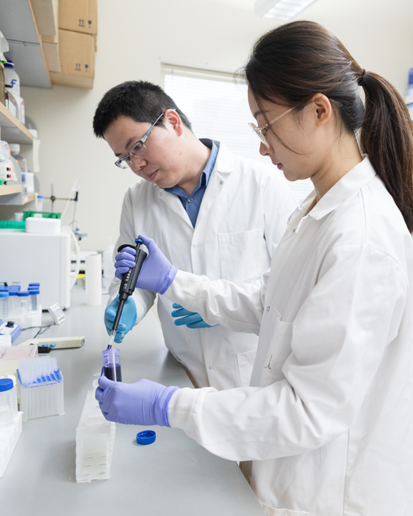 Quanyin Hu and Sichen Yuan working in the Hu Lab.