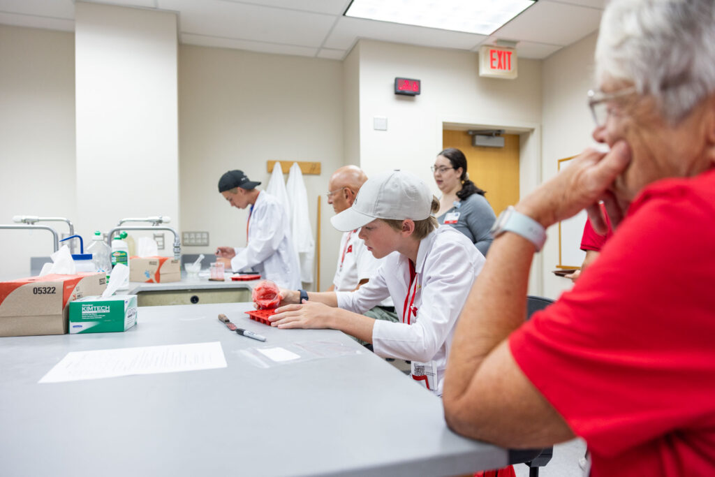 A side profile of an older woman in a red shirt, seated at a lab bench and watching a young boy in a white lab coat and gray baseball cap who is working with a red substance in a mold.