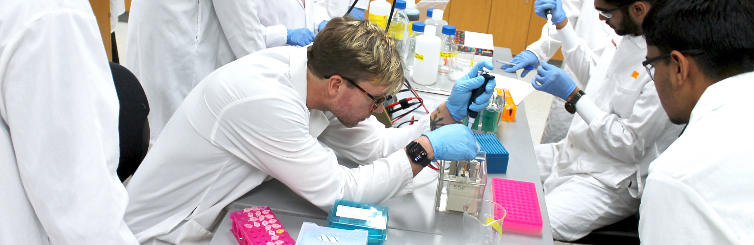 An Applied Drug Development master's student pipettes a sample into an electrophoresis gel