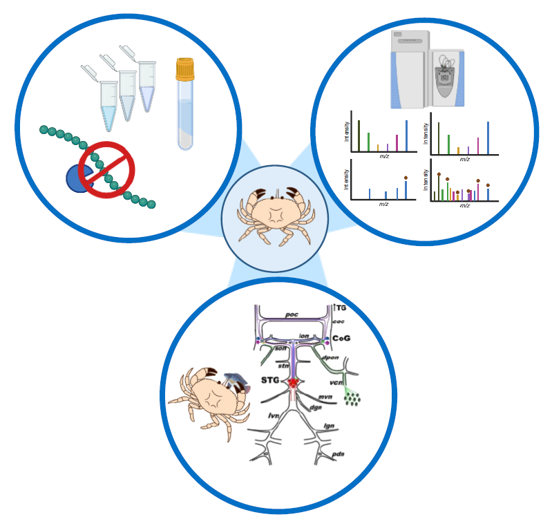 abstract image - thesis defense of Wenxin Wu